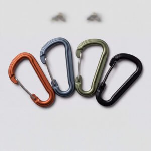 Carabiner Clip Set of Four